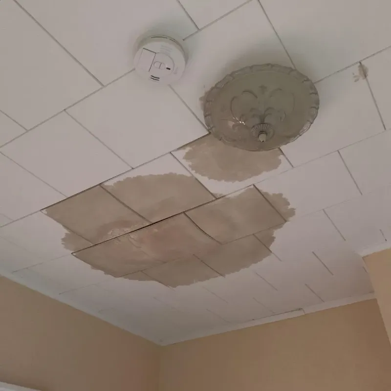 Ceiling Water Damage Repair in Lyon County, KS
