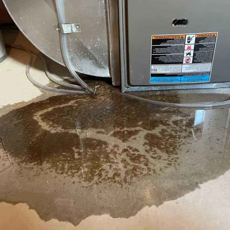 Pipe Burst and Leak Restoration in Lyon County, KS