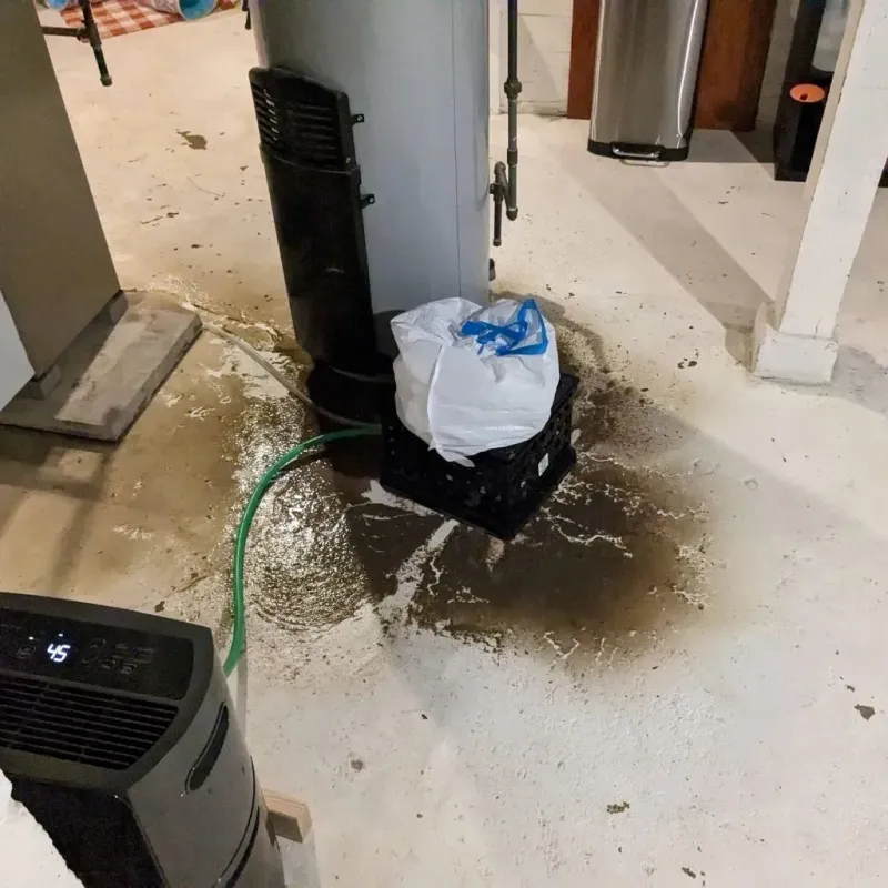 Sewage Backup Cleanup Service in Lyon County, KS